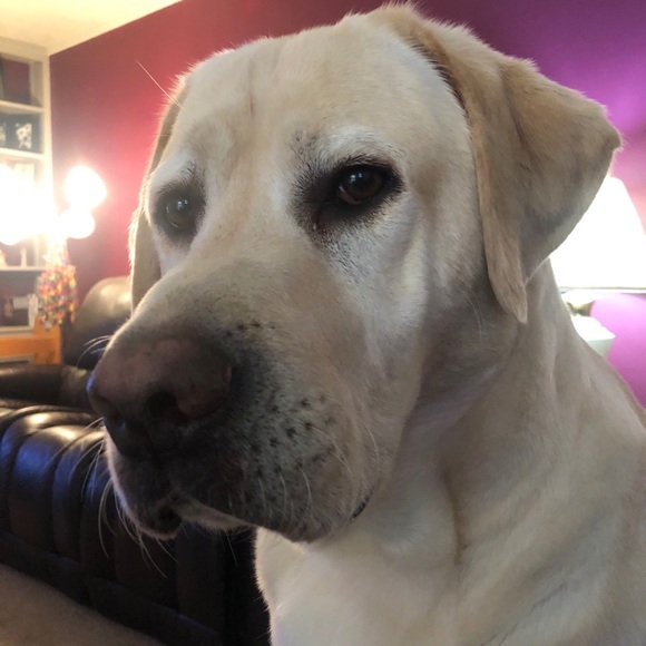 Meet your Posher, Mike - Picture 1 of 1